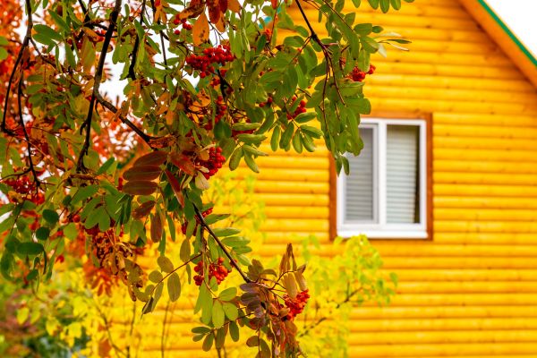 Cost of Garden Window Replacement in Aurora